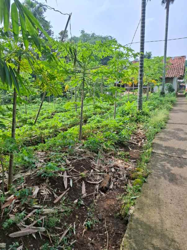 dijual tanah dramaga