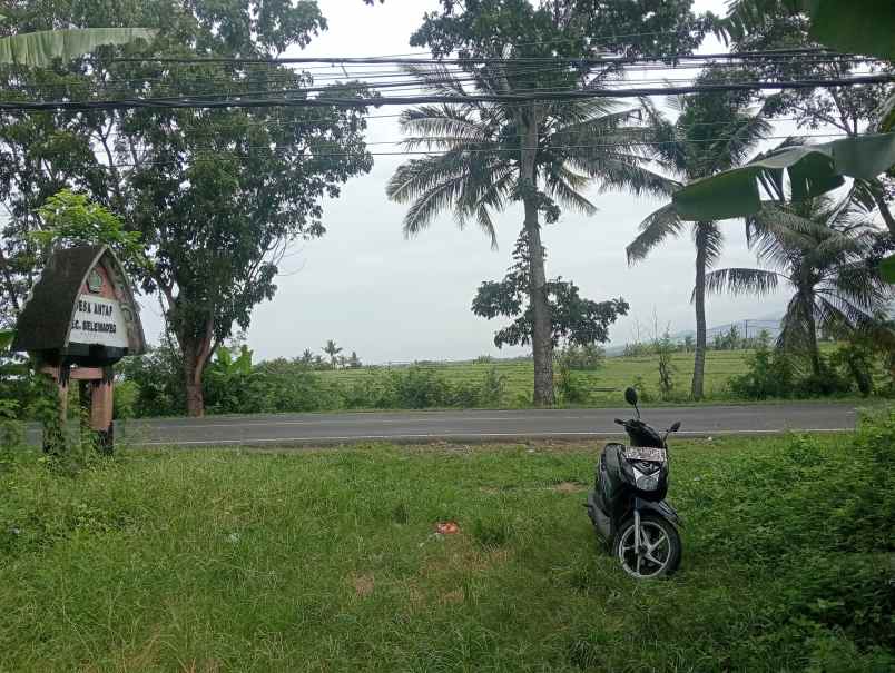 dijual tanah ds antosari kec selemadeg