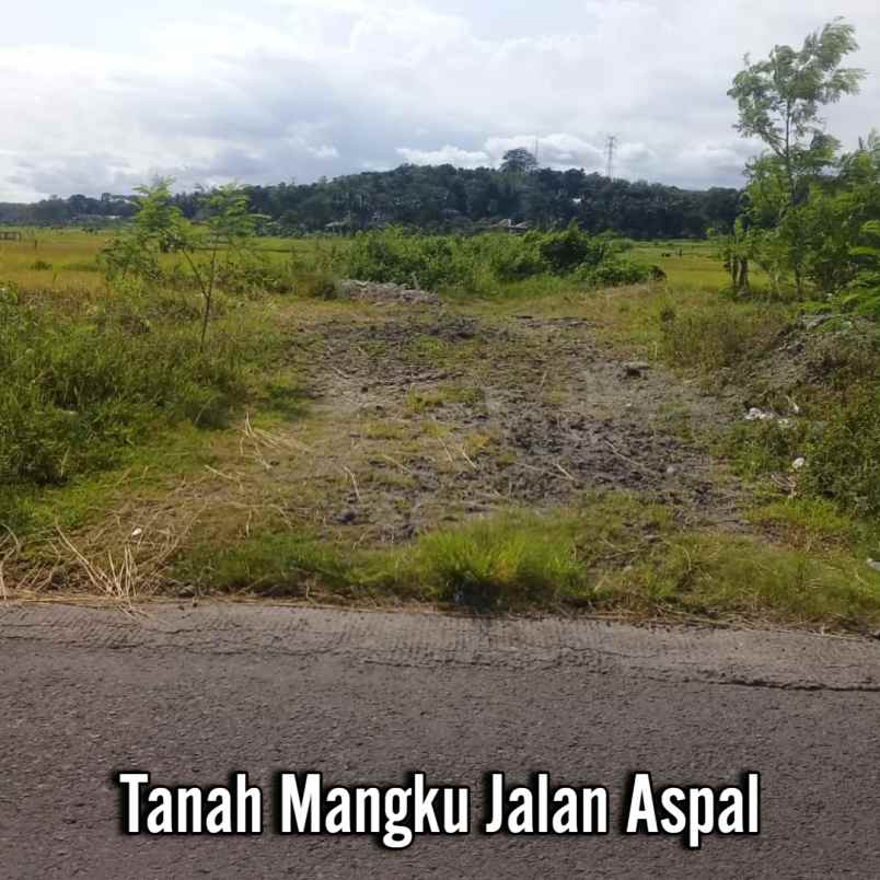 dijual tanah gedongan bangunjiwo