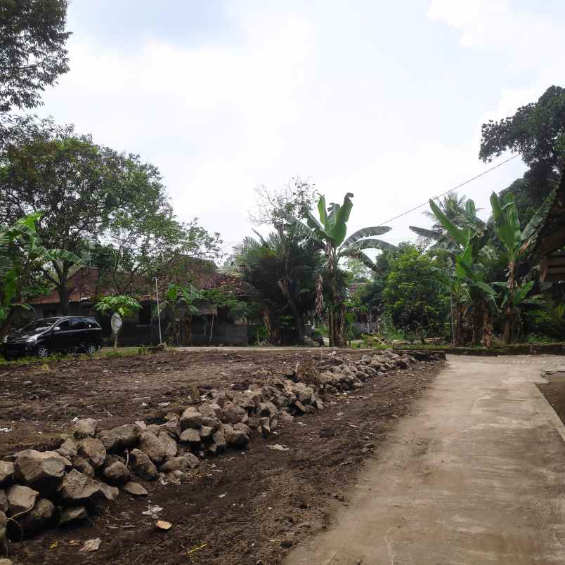 dijual tanah gondang donokerto turi