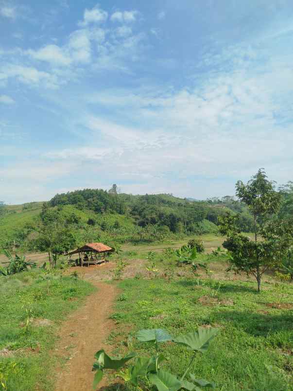 dijual tanah jalan desa pabuaran