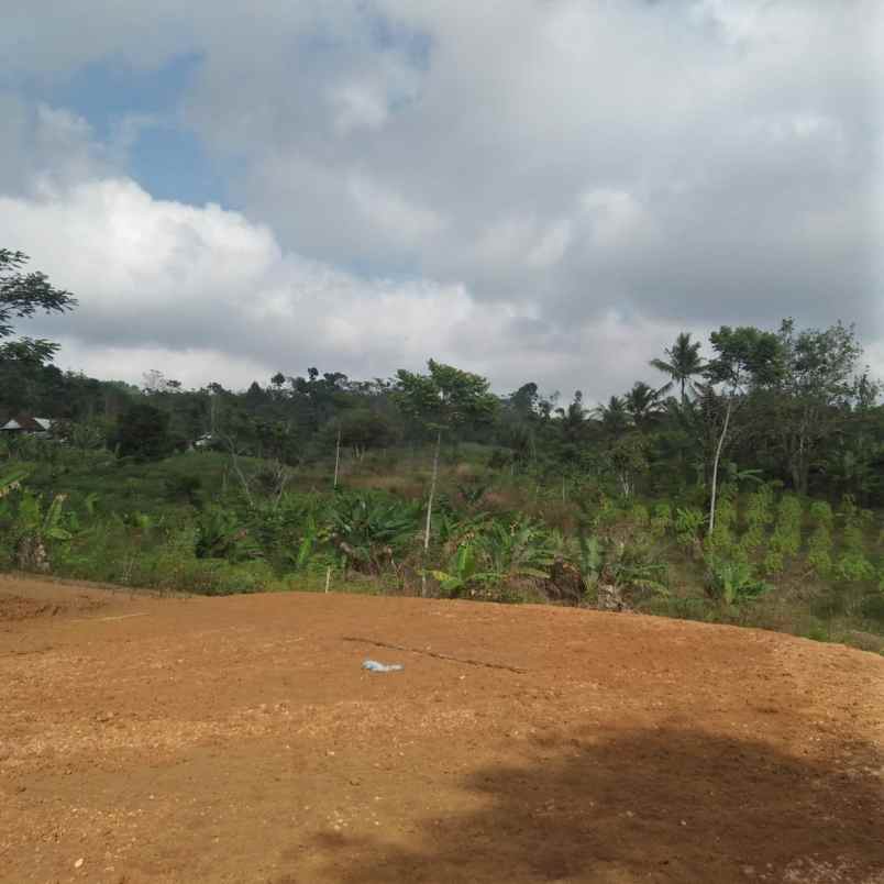 dijual tanah jalan nangoh desa