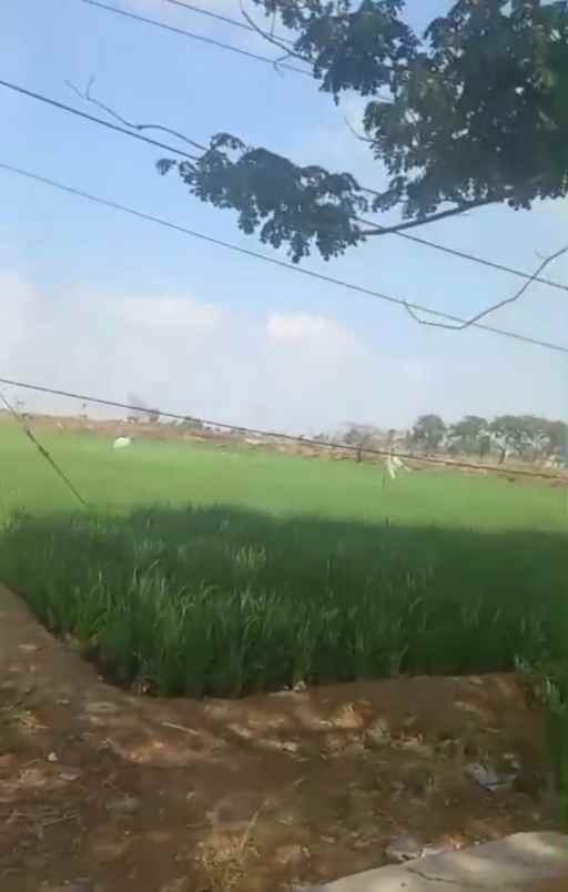 dijual tanah jalan pantura loarang