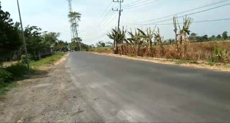 dijual tanah jalan raya purwodadi