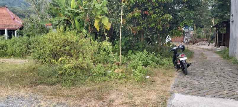 dijual tanah jalan wonosari srimartani