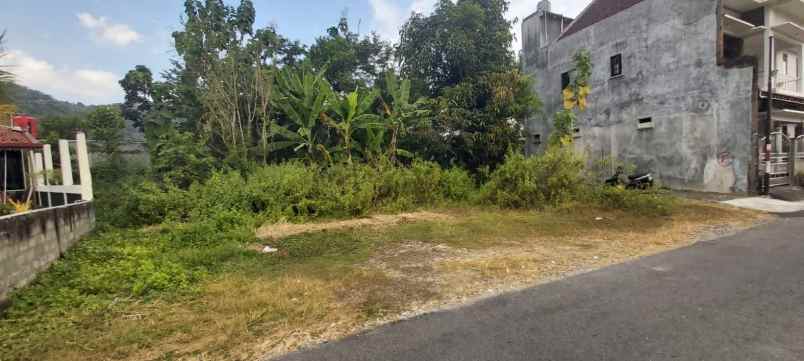 dijual tanah jalan wonosari srimartani