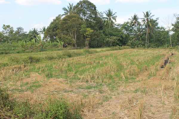 dijual tanah jl pamungkas koplak