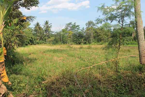 dijual tanah jl pamungkas koplak