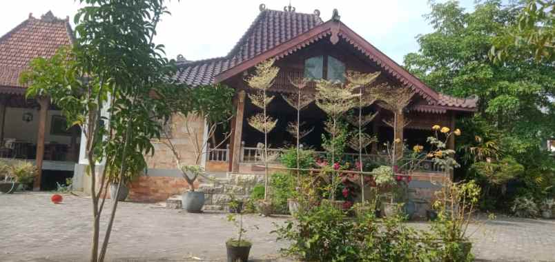 dijual tanah jl raya dradah blumbang