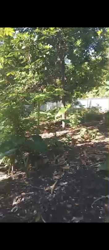 dijual tanah jl raya juanda