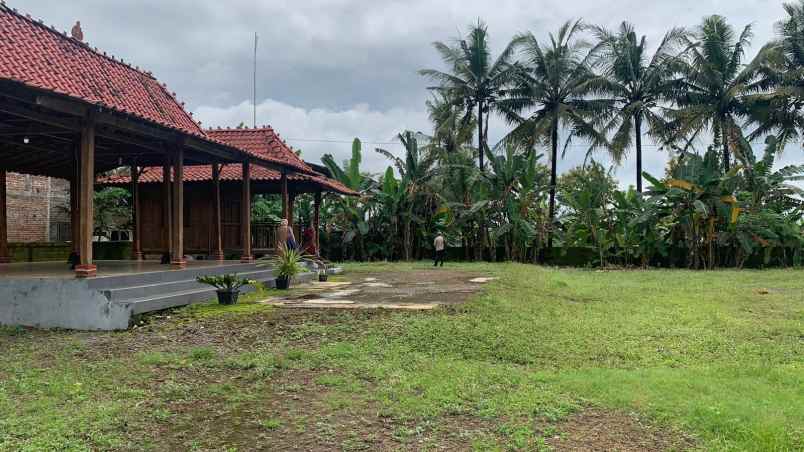 dijual tanah jl raya wates sentolo