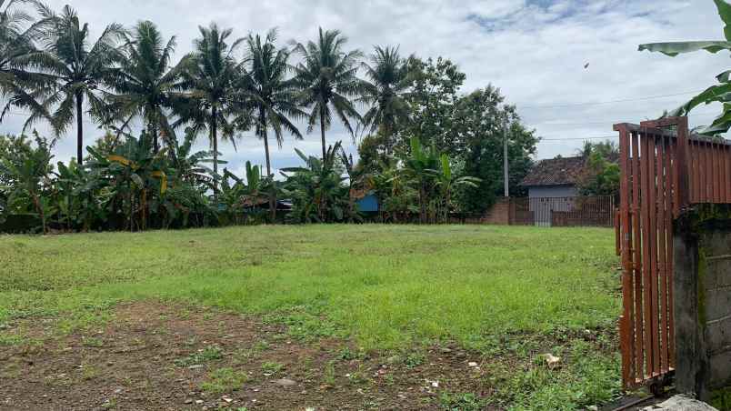 dijual tanah jl raya wates sentolo