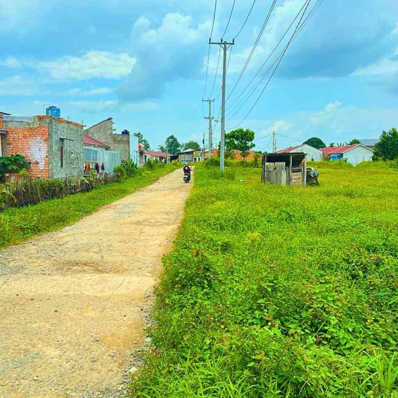 dijual tanah jln tanjung barangan