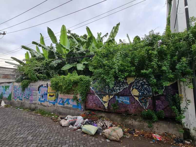 dijual tanah kapas madya