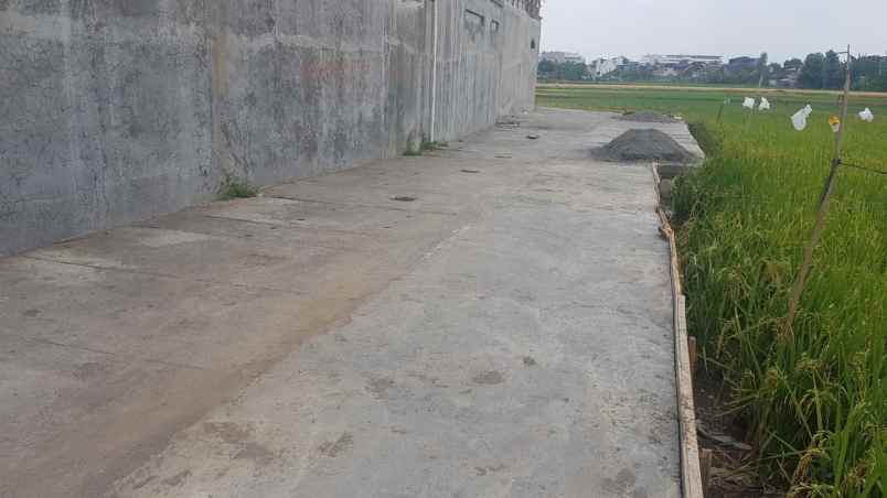 dijual tanah kavling murah sleman yogyakarta shm