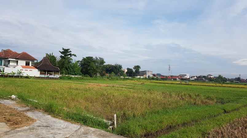 dijual tanah kavling murah sleman yogyakarta shm