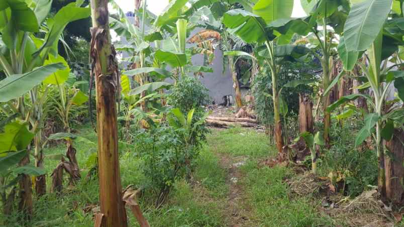 dijual tanah kavling strategis shm pamulang