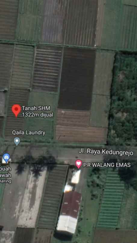 dijual tanah kedungrejo