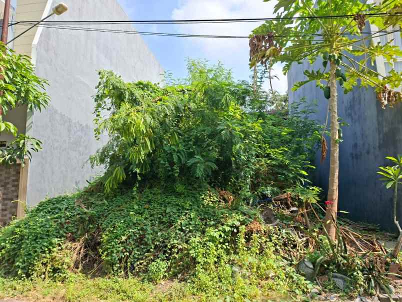 dijual tanah koala regency