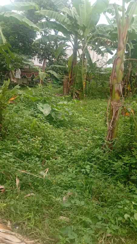 dijual tanah komersil di kelapa nunggal