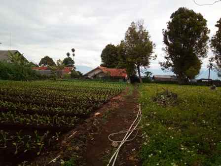 dijual tanah kp muril desa pasirhalang