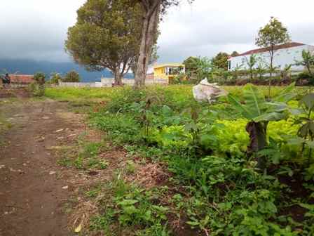 dijual tanah kp muril desa pasirhalang