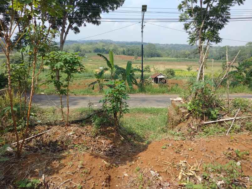 dijual tanah kubang kec talun kab cirebon