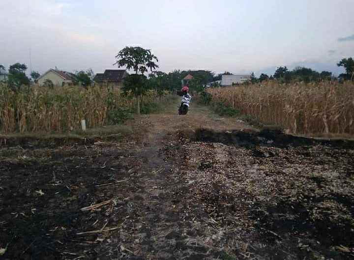 dijual tanah kwangen gemolomg sragen