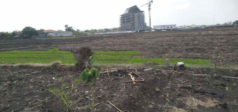 dijual tanah kwangen gemolomg sragen