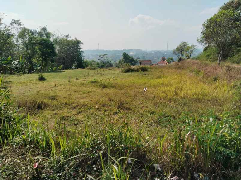 dijual tanah lio madur mekarlaksana