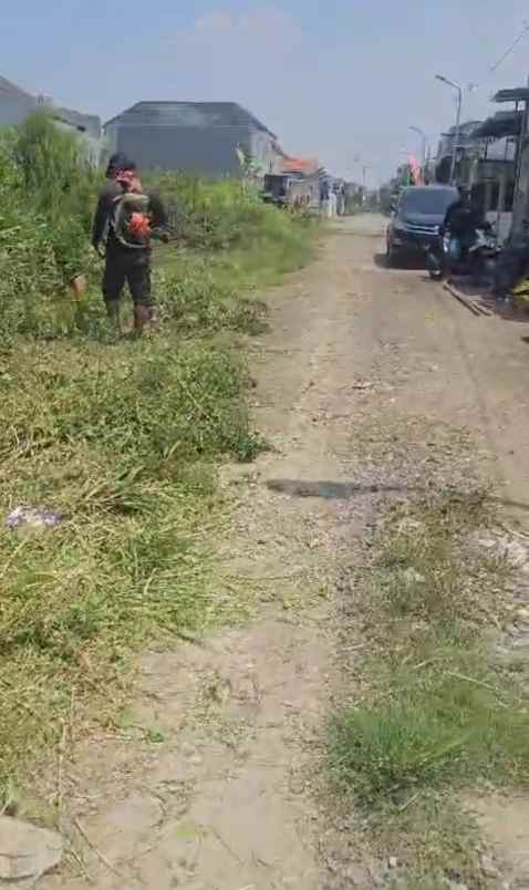 dijual tanah medayu utara murahh shm