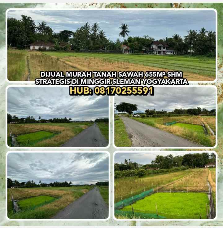 dijual tanah minggir sleman yogyakarta