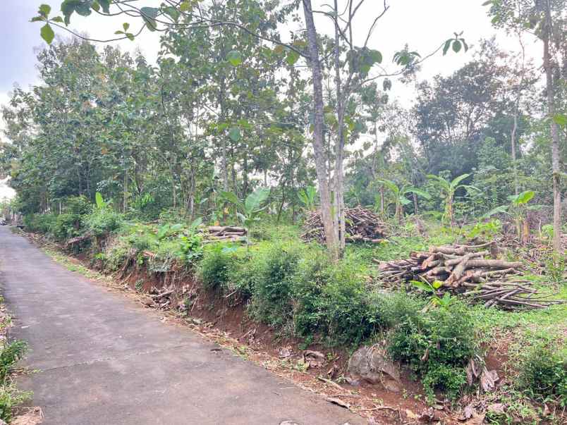 dijual tanah mojogedang karanganyar