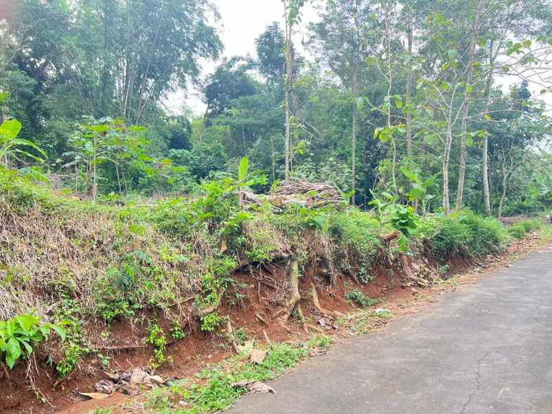 dijual tanah mojogedang karanganyar