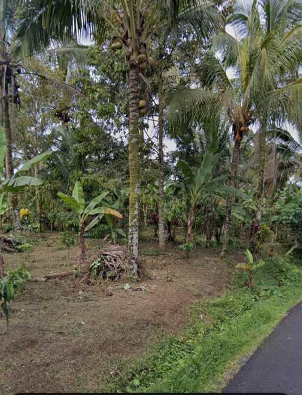 dijual tanah mundeh tabanan bali
