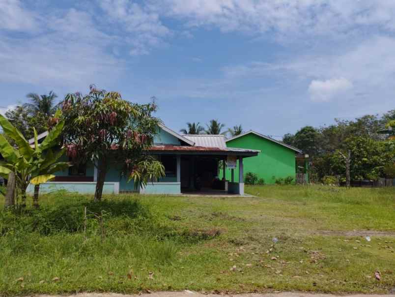 dijual tanah murah area talang betutu bonus rumah