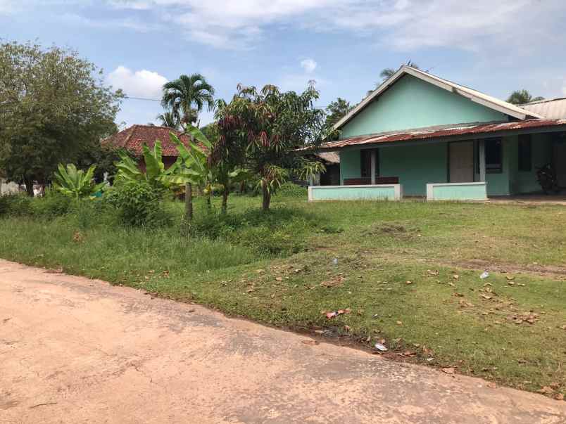 dijual tanah murah area talang betutu bonus rumah