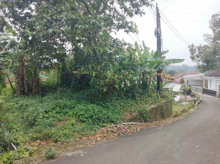 dijual tanah murah dan luas lingkungan penduduk