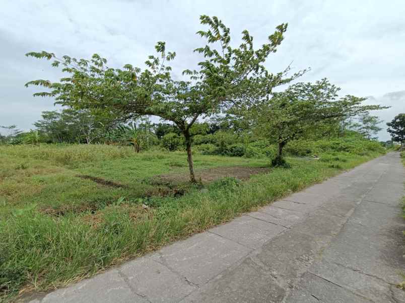 dijual tanah murah godean jogja