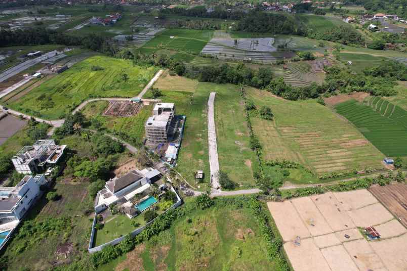 dijual tanah pantai kedungu belalang