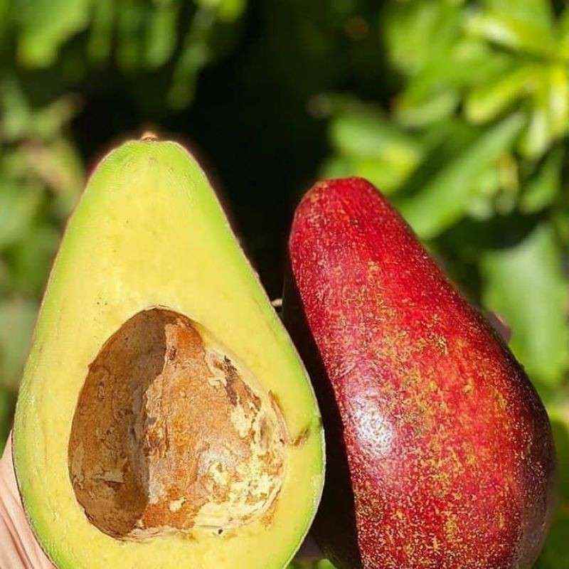 dijual tanah purasari