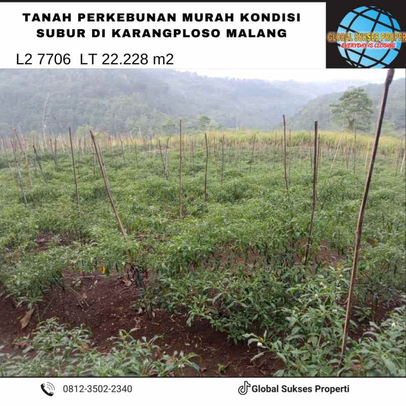 dijual tanah purwodadi