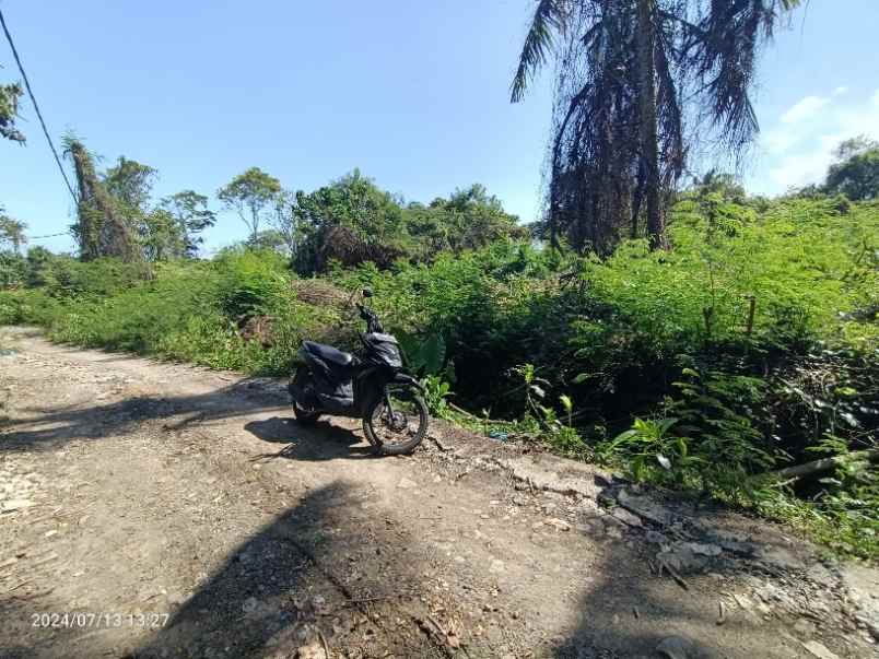 dijual tanah selemadeg barat tabanan bali