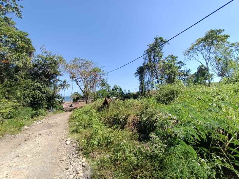 dijual tanah selemadeg barat tabanan bali