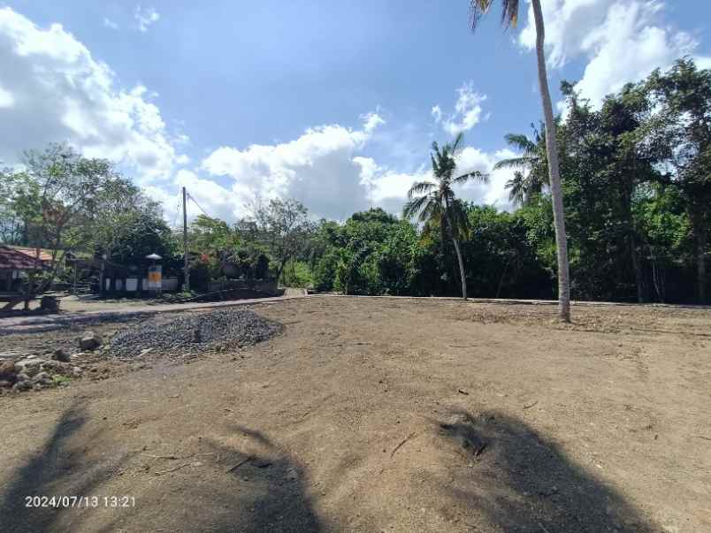 dijual tanah selemadeg barat tabanan bali