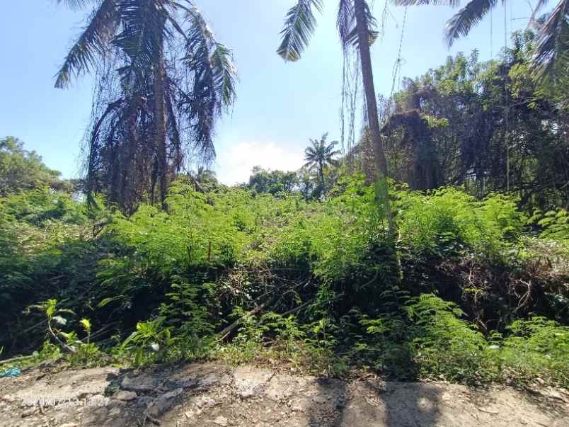 dijual tanah selemadeg barat tabanan bali