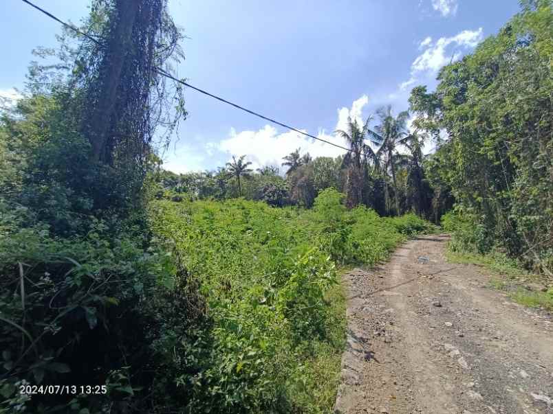 dijual tanah selemadeg barat tabanan bali