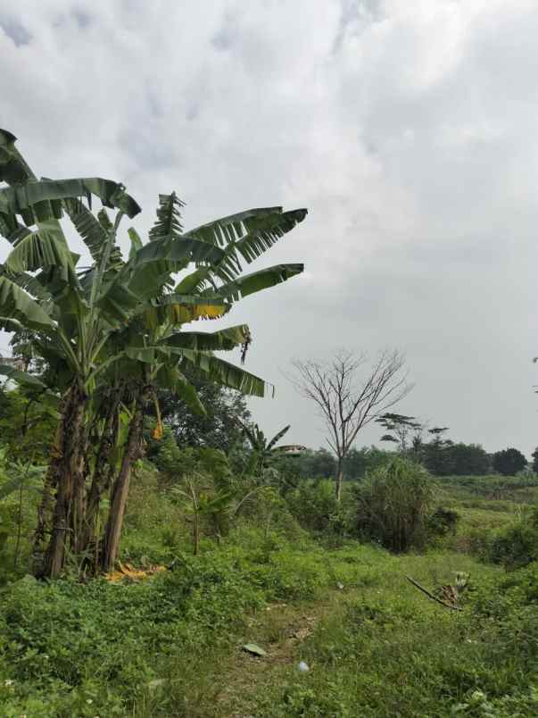 dijual tanah sentul city