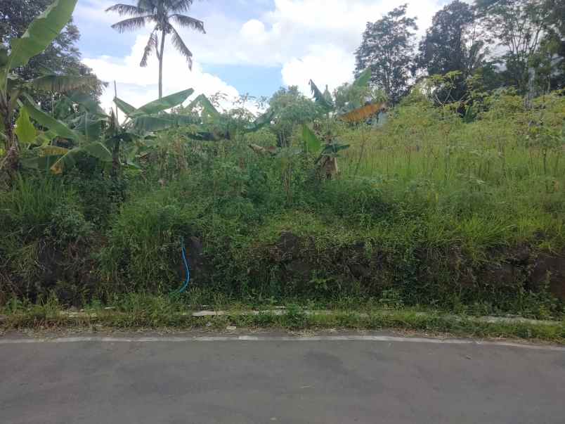 dijual tanah setia negara kec cilimus