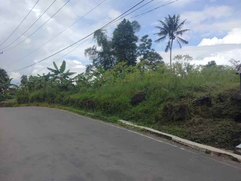 dijual tanah setia negara kec cilimus